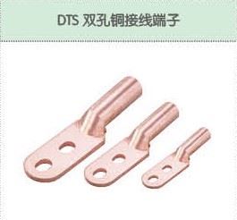 DTS雙孔銅接線端子